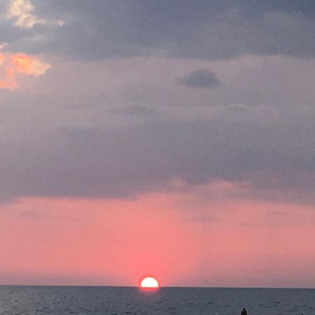 Camping I Melograni มารินา ดิ บิบโบนา ภายนอก รูปภาพ