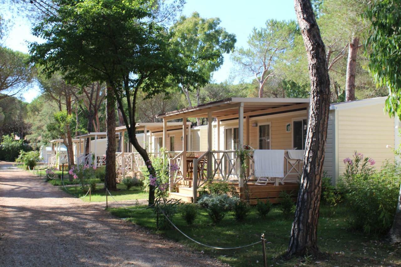 Camping I Melograni มารินา ดิ บิบโบนา ภายนอก รูปภาพ